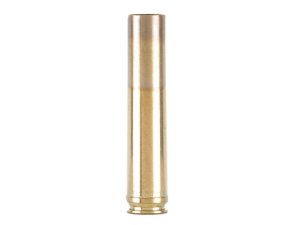 458 Win Mag brass