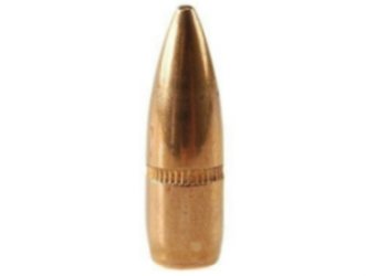 22 caliber FMJ bullet