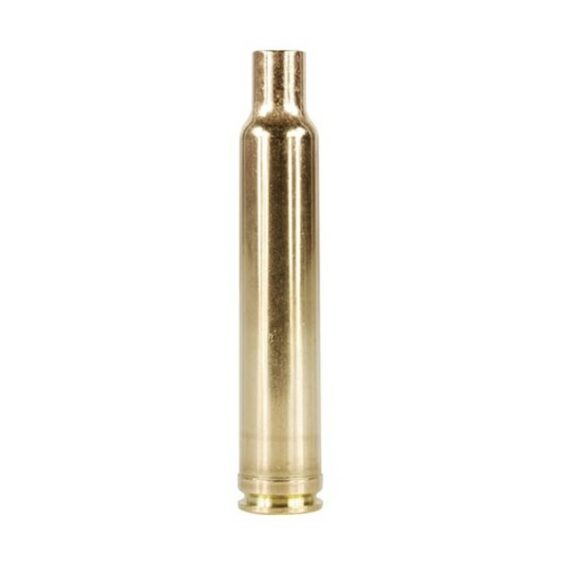 300 Weatherby Brass