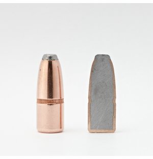 Hornady FP bullet