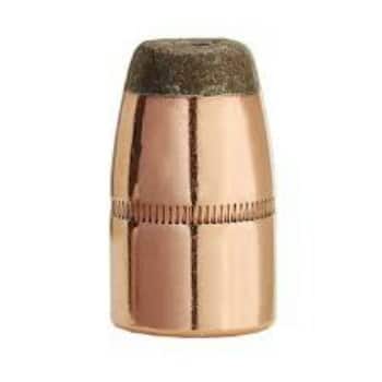 45 caliber 300 grain HP