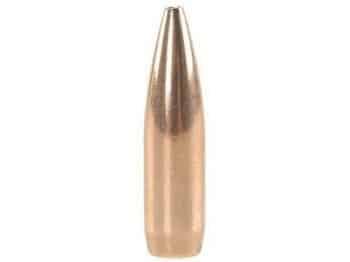 Hornady Hollow Point Boat Bullet