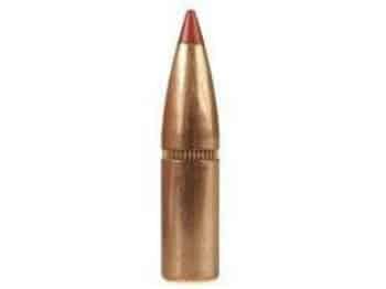 Hornady SST bullet