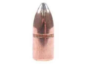 405 Winchester 300 grain SP