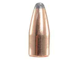 Hornady 170 grain 350 Legend bullets