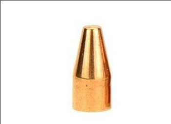Winchester 145 grain 350 Legend bullets