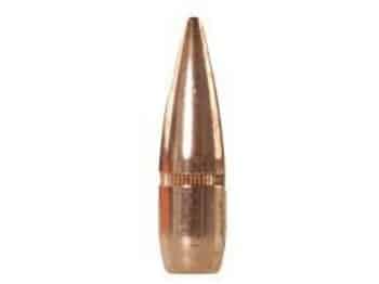 .308 FMJ bullet