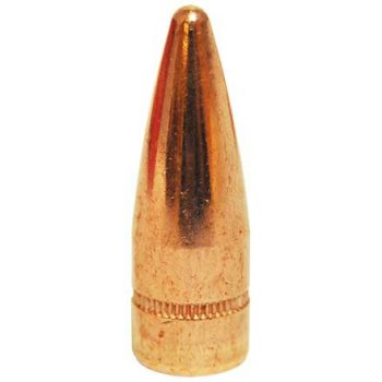Hornady #30196 bullet