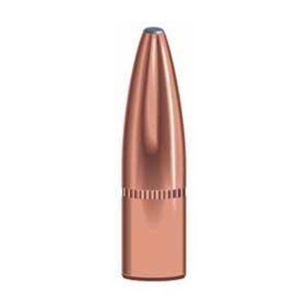 Speer 7mm 145 gr GS bullet