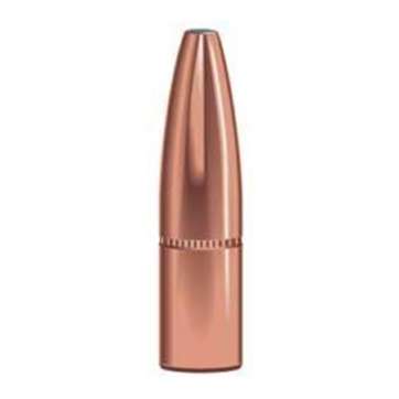 Speer 7mm 160 gr GS bullet