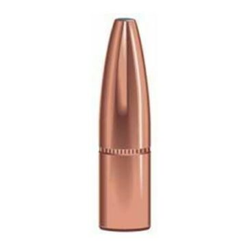 Speer 7mm 160 gr GS bullet