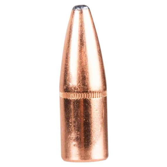 Hornady .375 270 gr