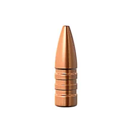 .224 55 grain TSX bullet