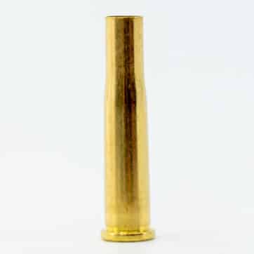 22 Hornet case