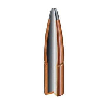 9.3mm 285 grain bullet