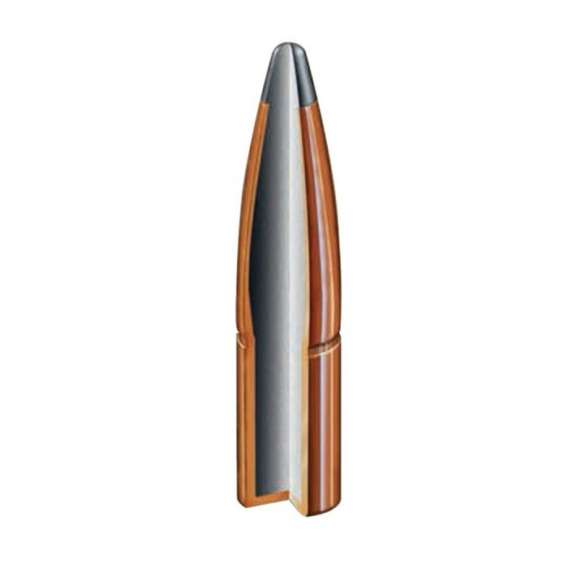 9.3mm 285 grain bullet