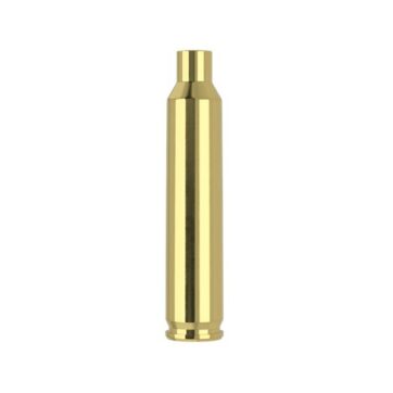 204 RUGER BRASS