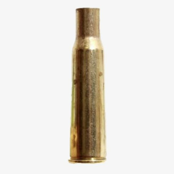 348 Winchester brass case